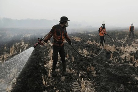 Pembakaran-hutan-dan-lahan-3