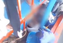 Gagal Tangkap Cumi Sesuai Target, 4 ABK Jadi Korban Kekerasan di Kapal