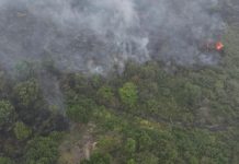 Jarak Pandang di Palembang Terganggu Asap, Operasi Modifikasi Cuaca Dipusatkan di Pangkal Pinang