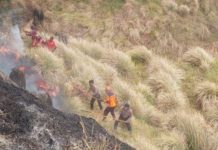 Korban Karhutla Bromo Bertambah, Munawi Meninggal setelah Kondisi Terus Memburuk