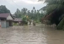 Dua Kecamatan di Nias Selatan Diterjang Banjir, Puluhan Keluarga Terdampak