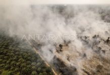 Karhutla T’lah Empat Bulan, Tak Perlu Malu Dibantu LN